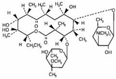 Image Of Erythromycin Chemical Structure (Chemical Structure)